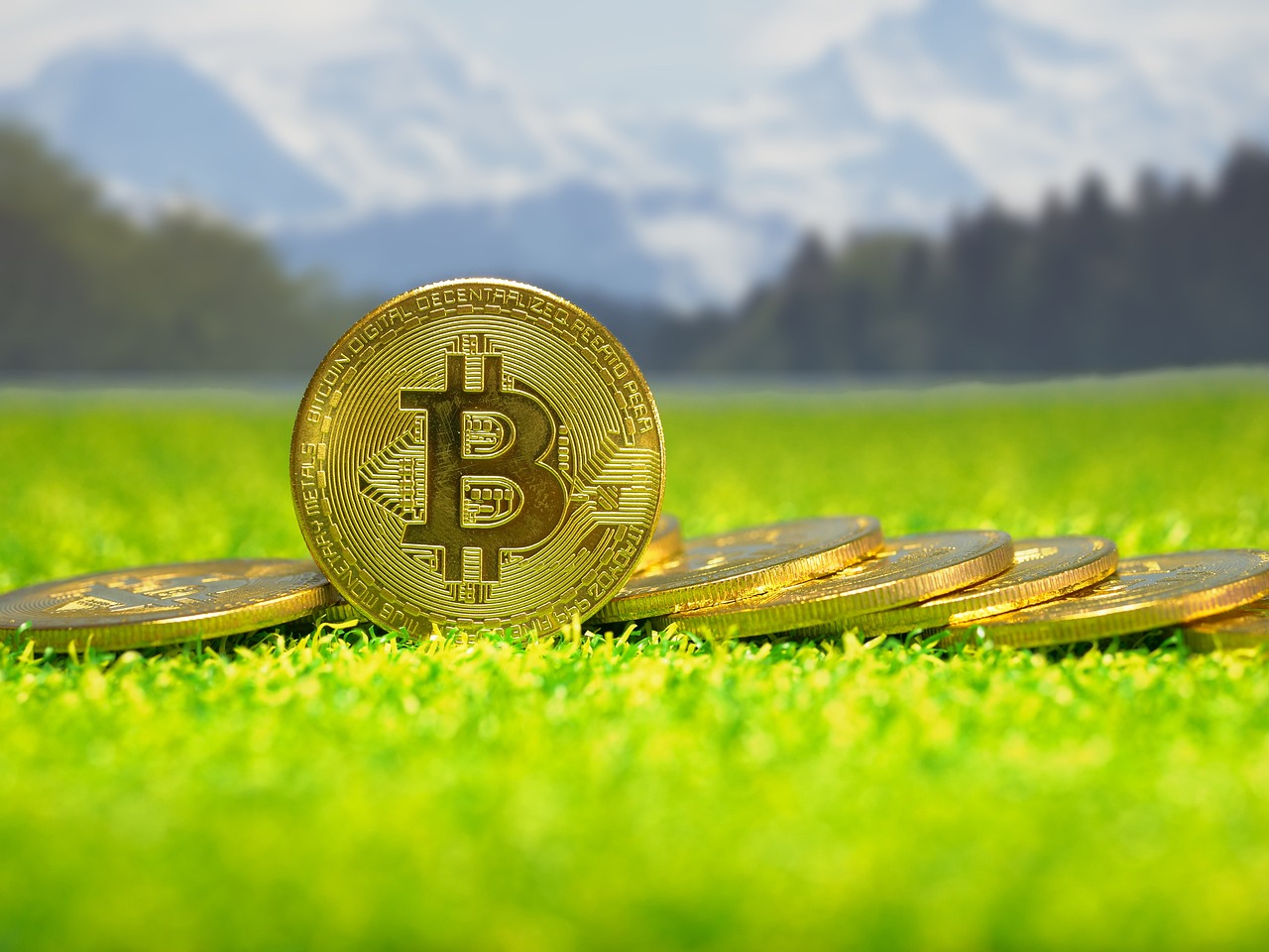 Understanding the Basics of Cryptocurrency Options Trading